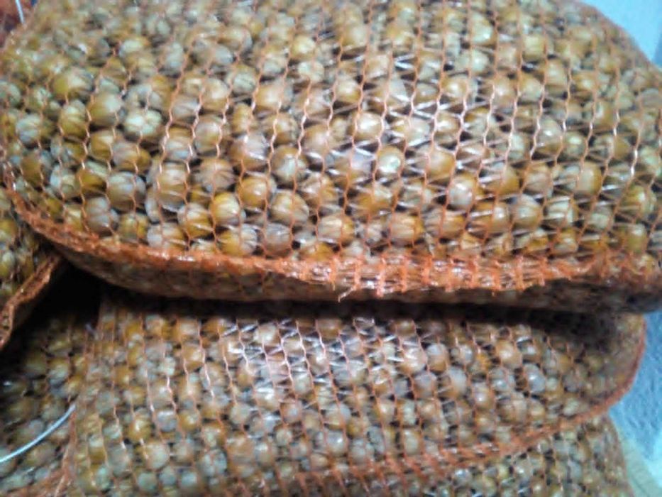 Harnaś czosnek 100 szt + 2 kg orzechy laskowe