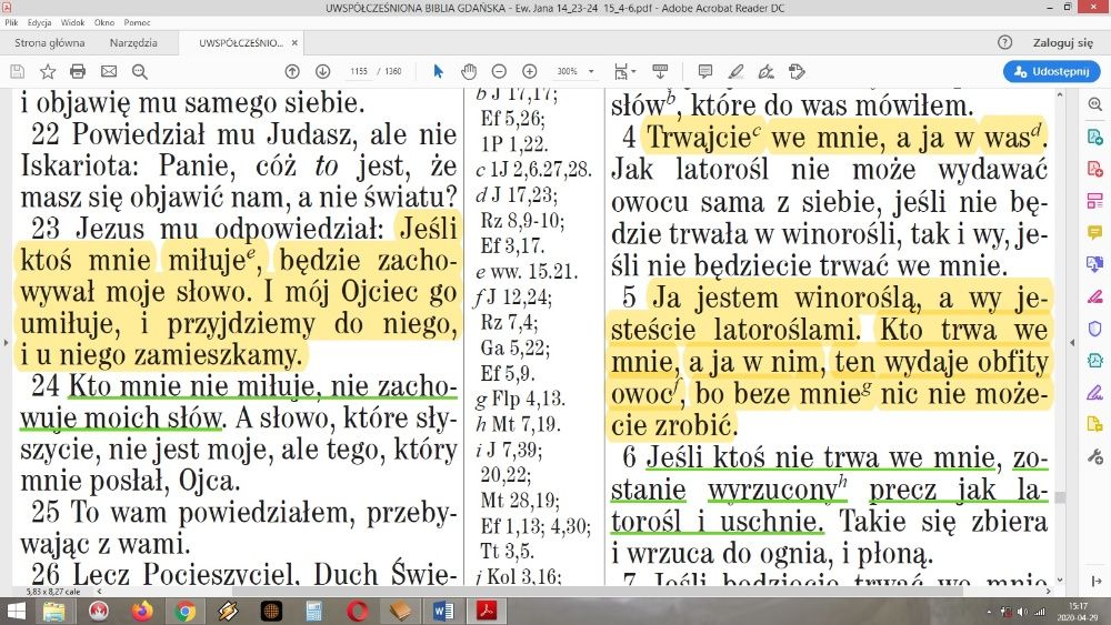 Pismo Święte - Nowy Testament - Dobra Nowina o Jezusie Chrystusie