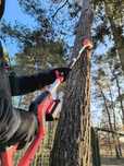 piła na wysięgniku akumulatorowa, do gałęzi Einhell GC-LC 18/20 Li T-