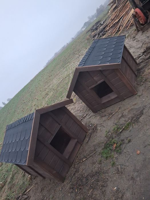 Bardzo duża buda dla psa