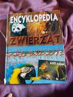 książka encyklopedia zwierząt