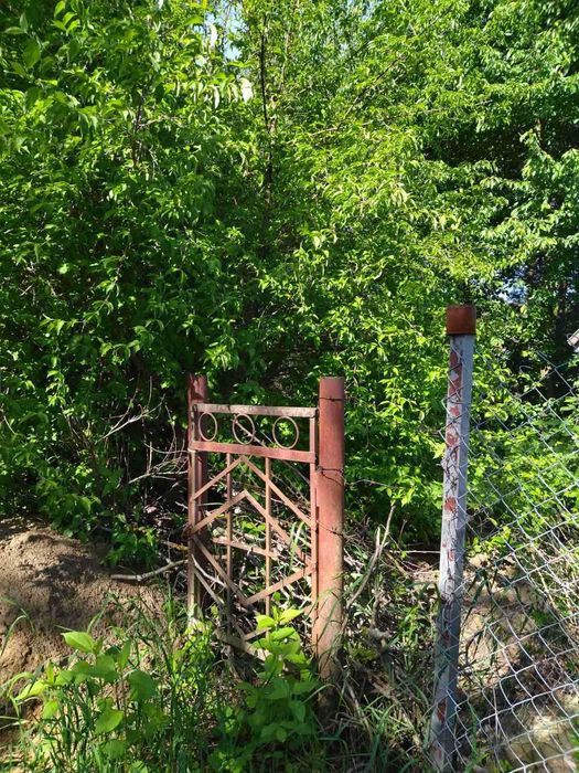 (3) Продам земельну ділянку в с. Сальник 5795