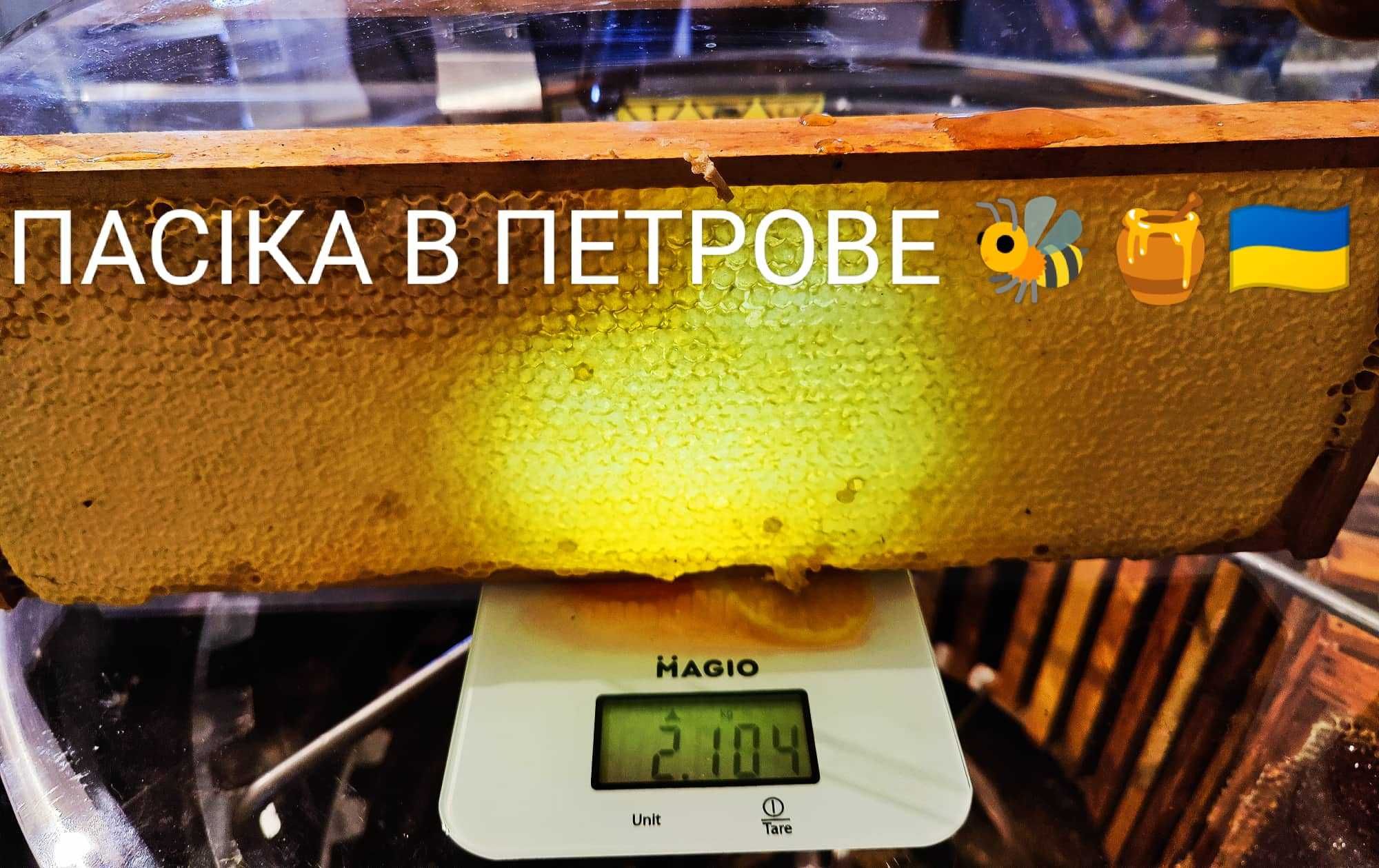 Найсмачніший Стільниковий МЕД, Ukrainian Cellular Honey