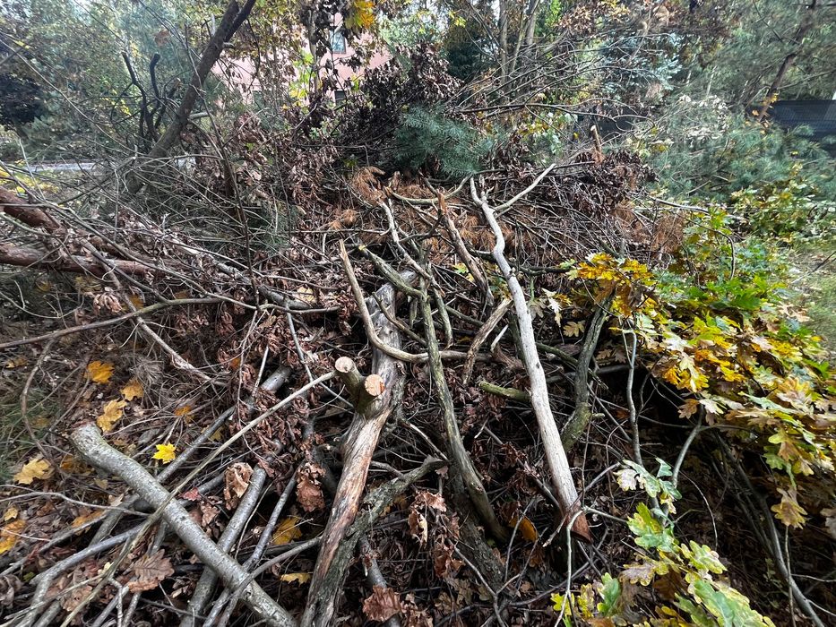 Opał, gałęzie, oddam