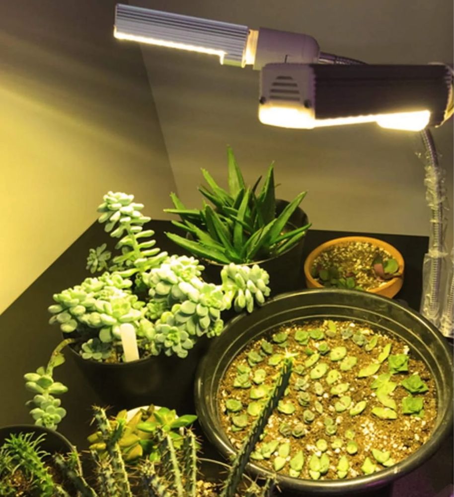 LED para crescimento de plantas em casa/LED Grow Light 50W NOVO