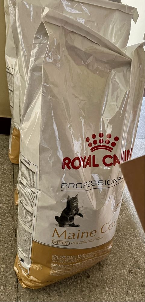 •Royal Canin 3kg British Shorhair • RC Brytyjskie, MC Baby Adult inne