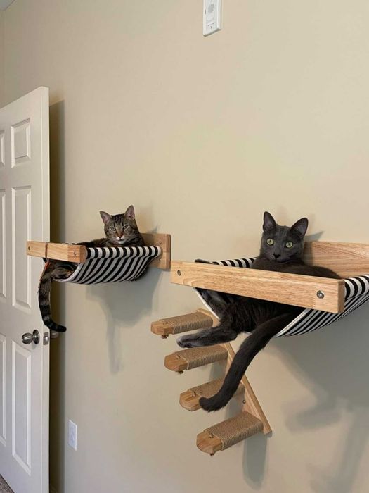 Legowisko hamak dla kota ścienna półka wspinaczka