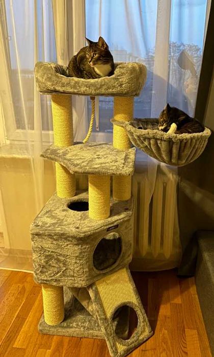 Drapak dla kota XXXL wieża premium domek grube słupki legowisko *NOWY*