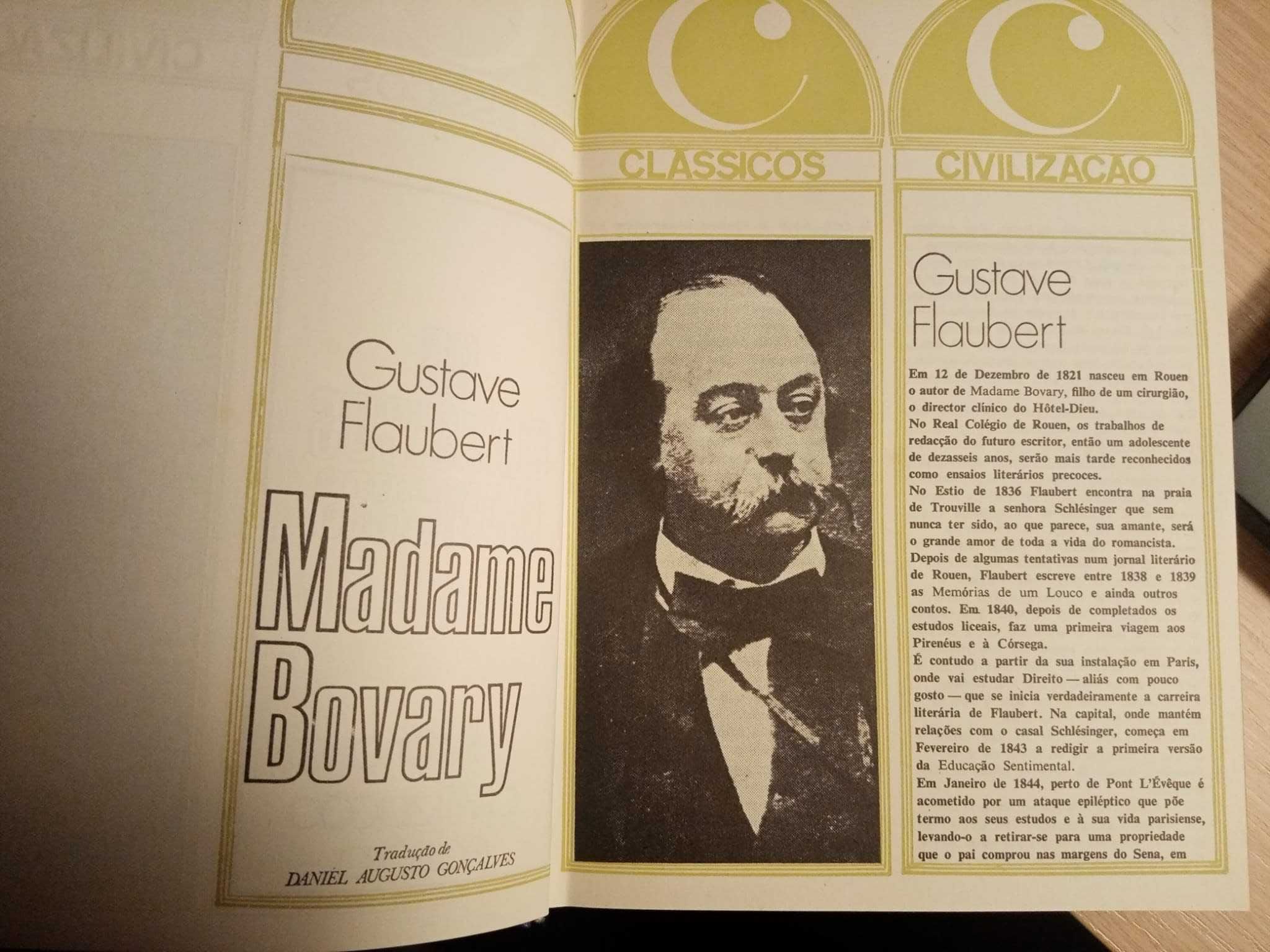 Madame Bovary, Flaubert, romance da luta contra o tédio no casamento