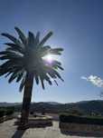 Hiszpania Malaga apartament wakacje last minute 5.07-16.07