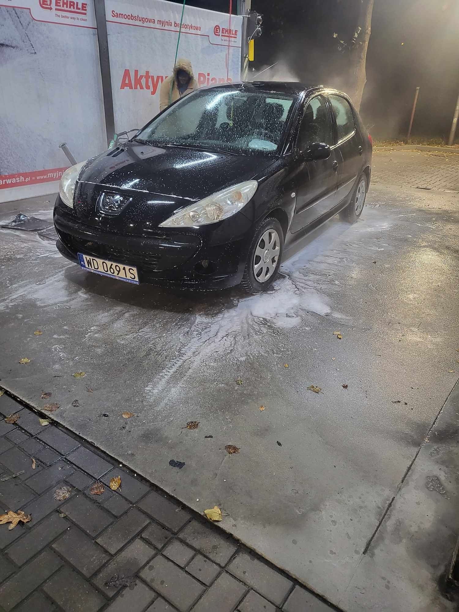 Peugeot 206 plus