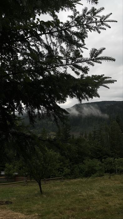 Відпочинок в Карпатах