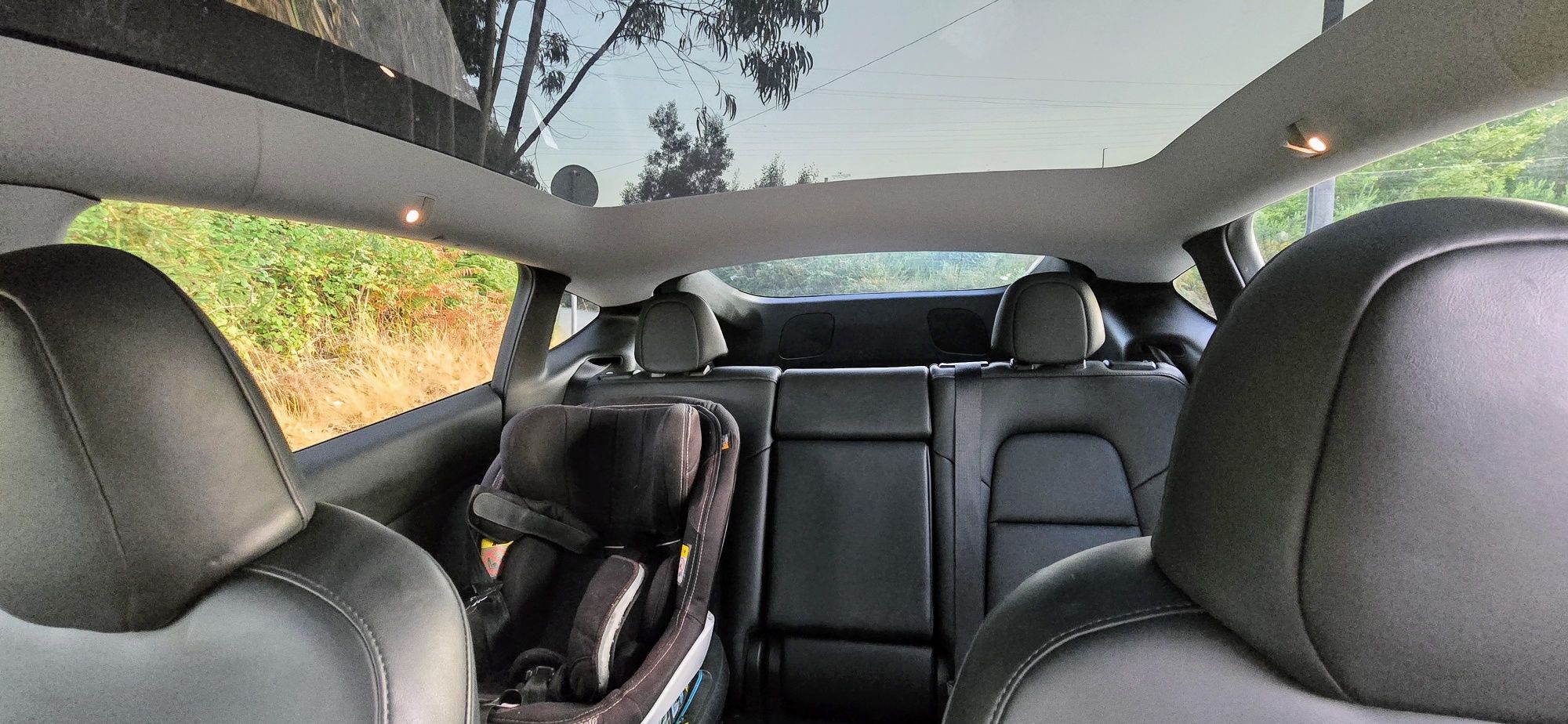 TESLA Model Y Long Range Performance  534cvs AWD