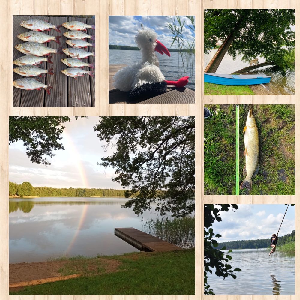 Domek, Mazury, Ferie, Majówka Wielkanoc, linia brzegowa, Sauna, bania