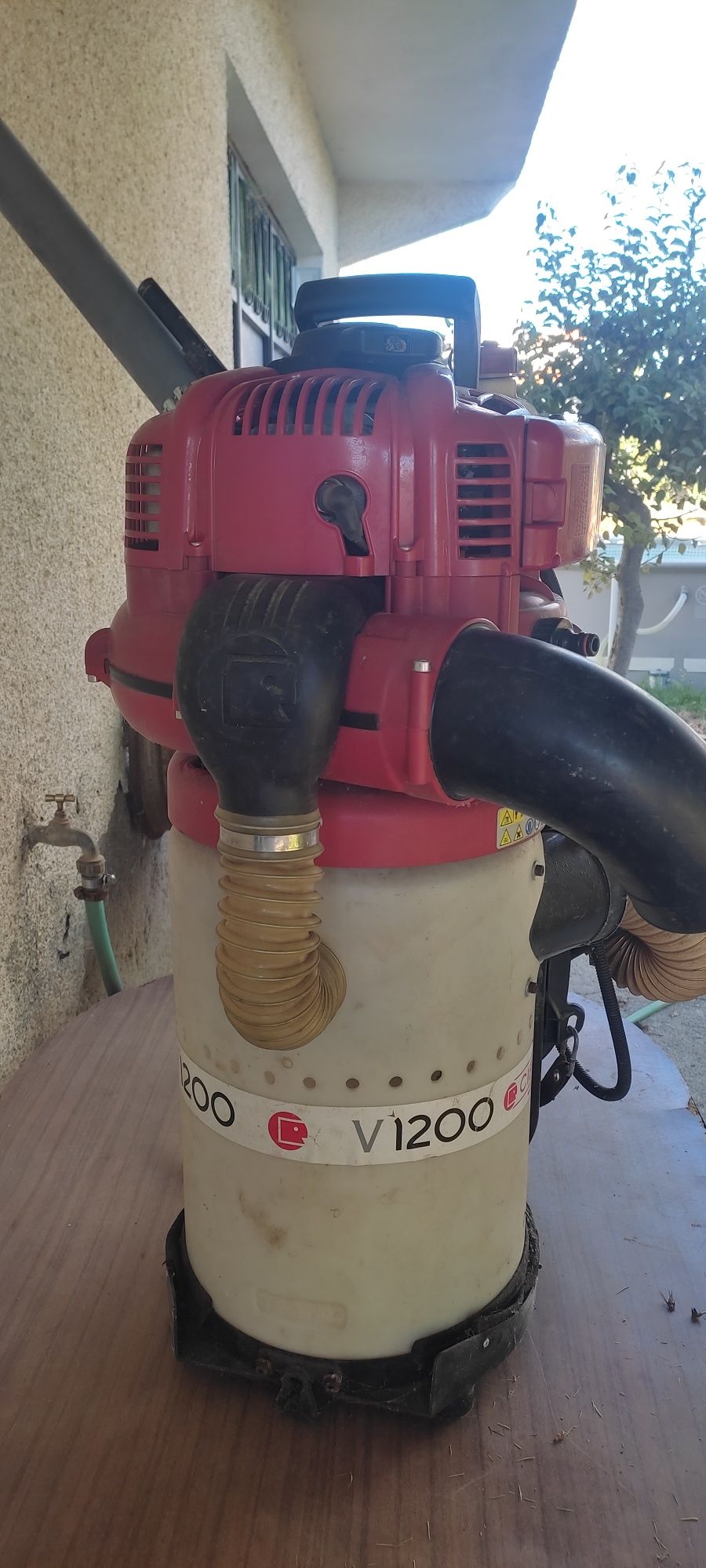 Cifarelli V1200 Máquina de apanhar castanhas