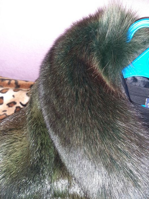 Шуба нутрия с песцом