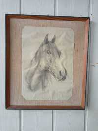 Obraz głowa konia malowana ołówkiem  w ramce lata 30-te