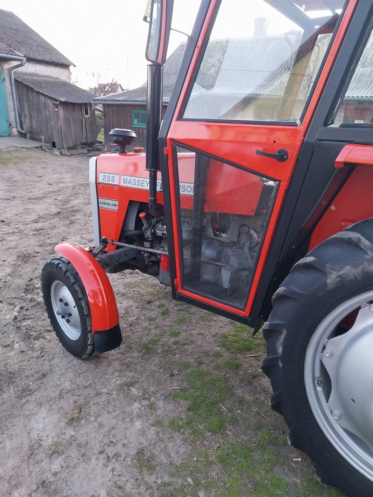 Ferguson Massey 255 Ciągnik jest dobrze utrzymany 3512/2812