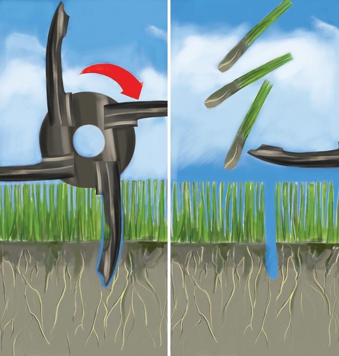 Aerator i Wertykulator WYNAJEM , areator, piaskarka , wypożyczalnia