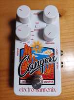Electro Harmonix Canyon delay looper ehx