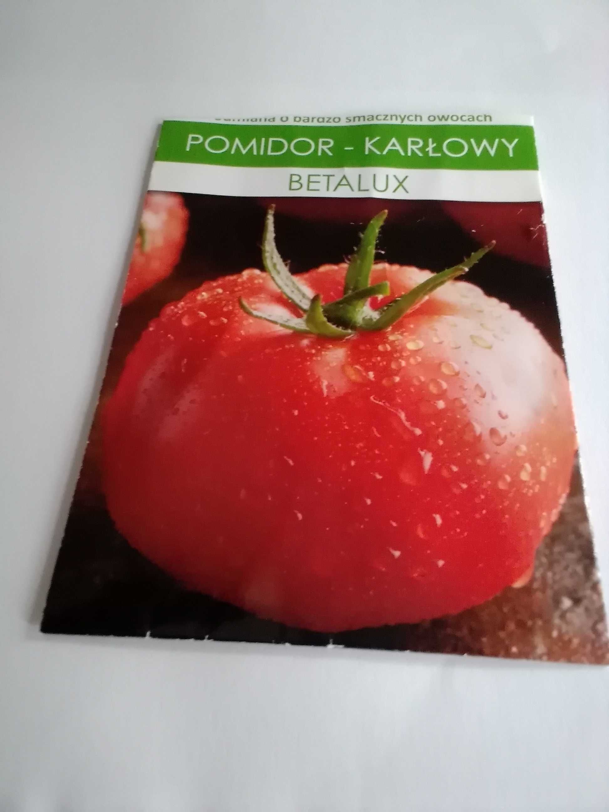 Sadzonka pomidora karłowatego Betalux