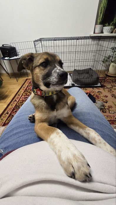 БЕЗКОШТОВНО у відповідальні руки