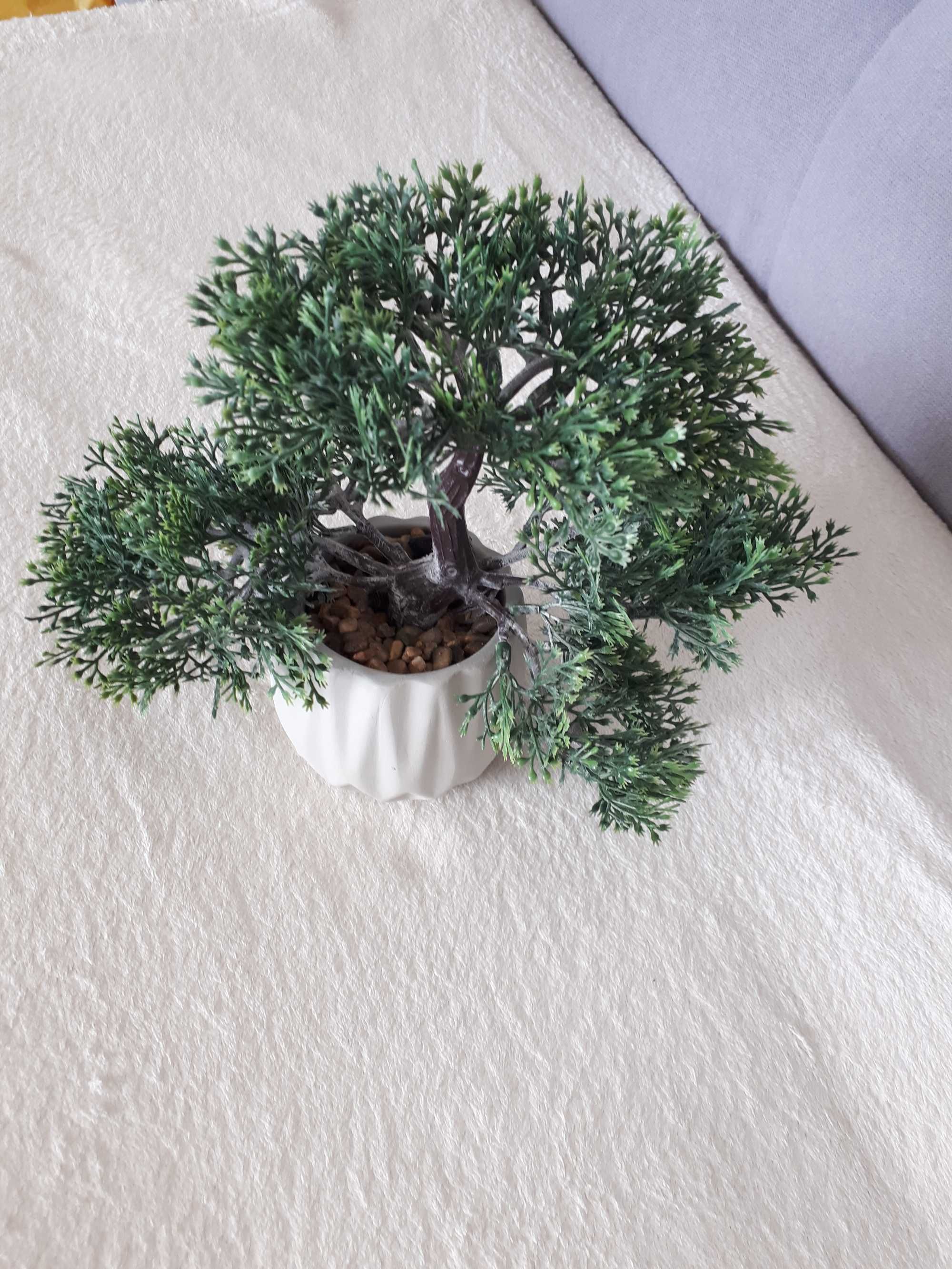 Drzewko Bonsai ( Sztuczne)