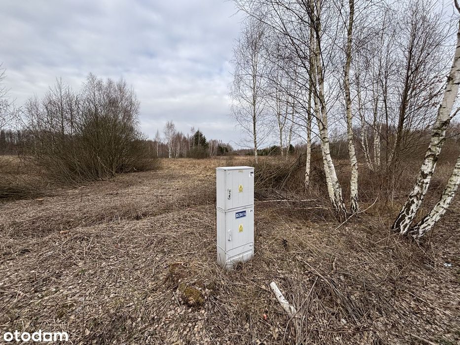 Działka 3000m2, zjazd z drogi, prąd, wymiary 30x100 kształtna OKAZJA