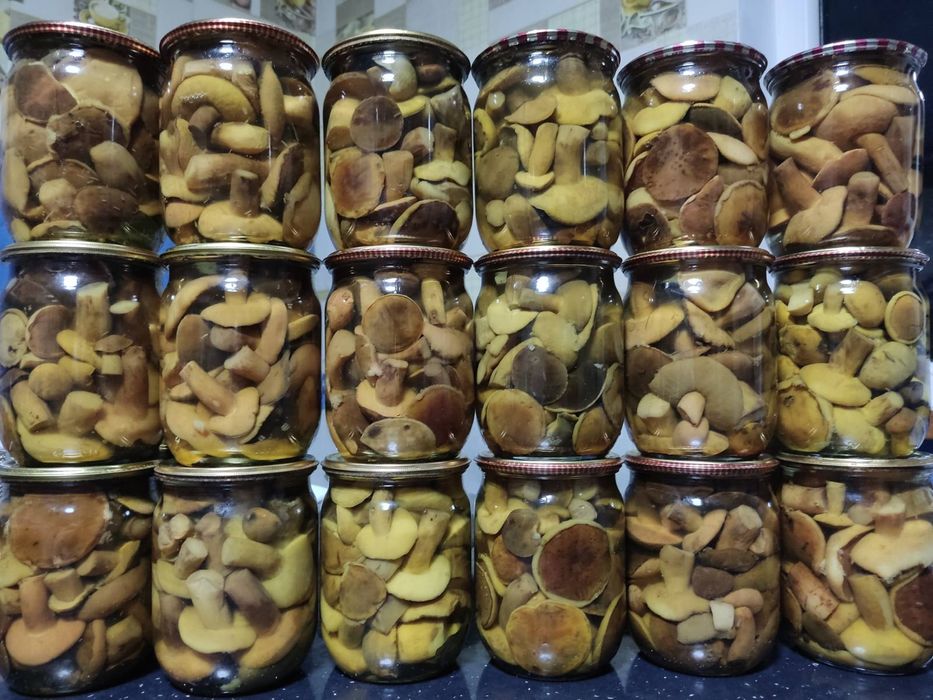 Мариновані гриби білі, опеньки польські