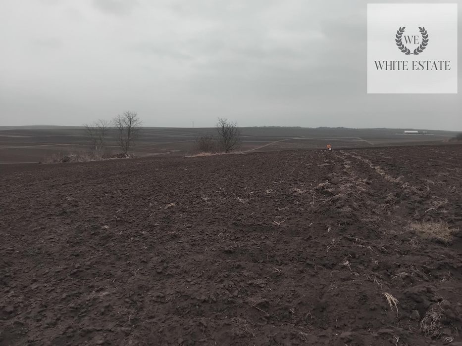 Продаж земельної ділянки с.Плотича