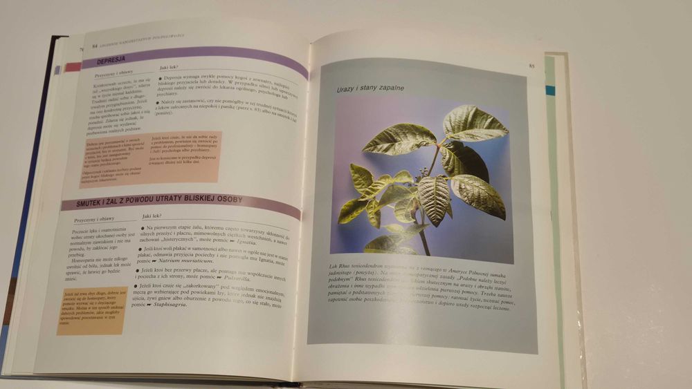 Homeopatia sposób na zdrowie Robin Hayfield