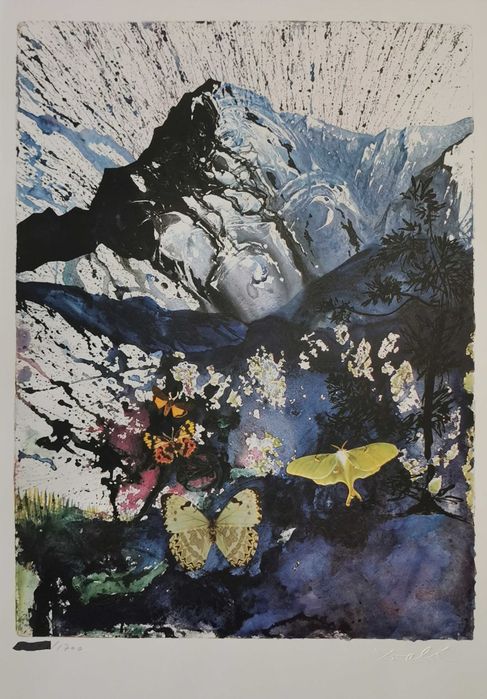 Salvador Dali - Fotogravuras originais