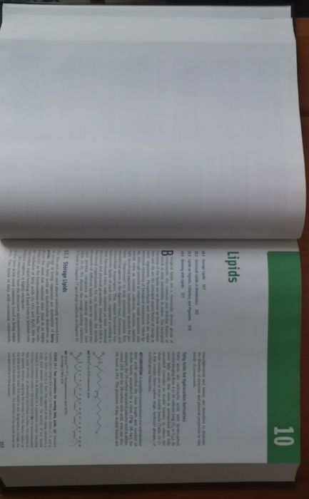 PRINCIPLES OF BIOCHEMISTRY Lehninger (Nelson i Cox) 2013