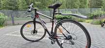 Rower Indiana koła 19"