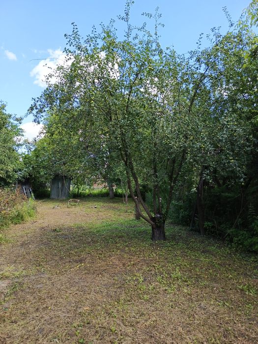 Дача 5 соток СТ Деснянка