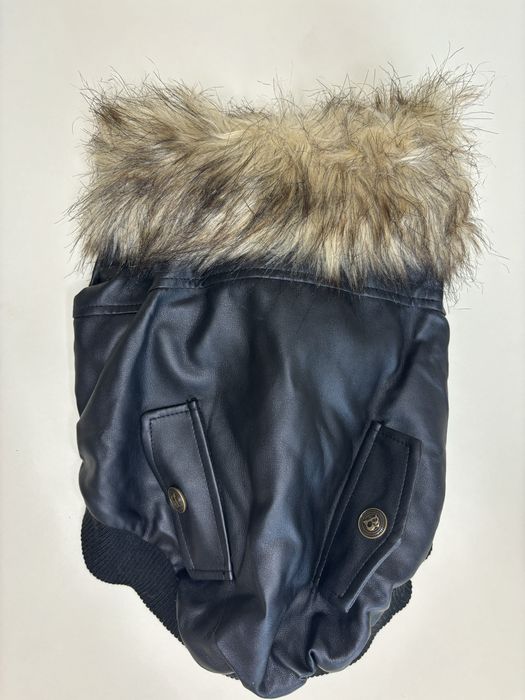 Одяг для собак