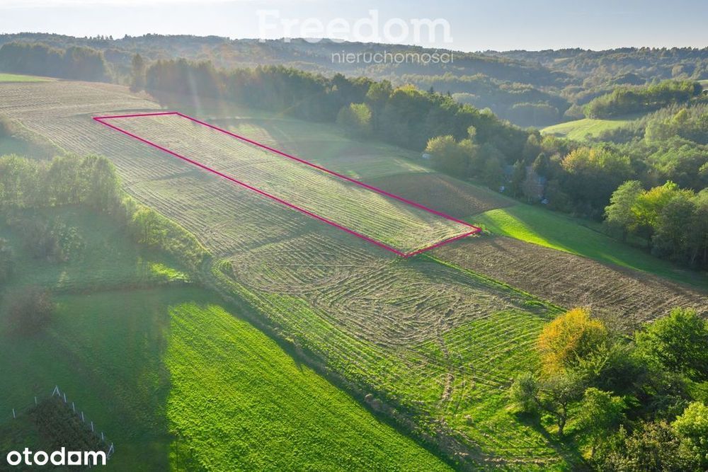 51,4a, 3 działki z Wz, widokowe