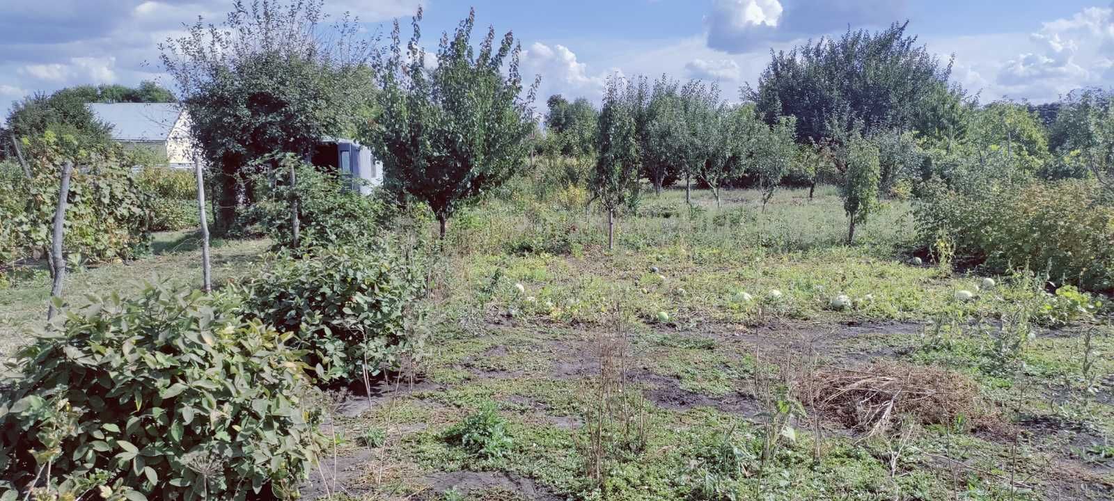 Продам земельну ділянку (дача) 10 соток в межах міста Карлівка