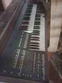 Órgão piano Viscount