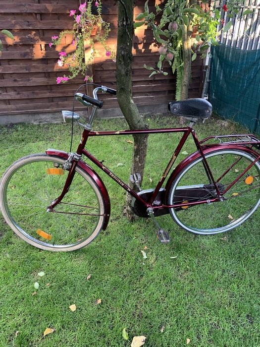 Rower Amsterdam Holandia