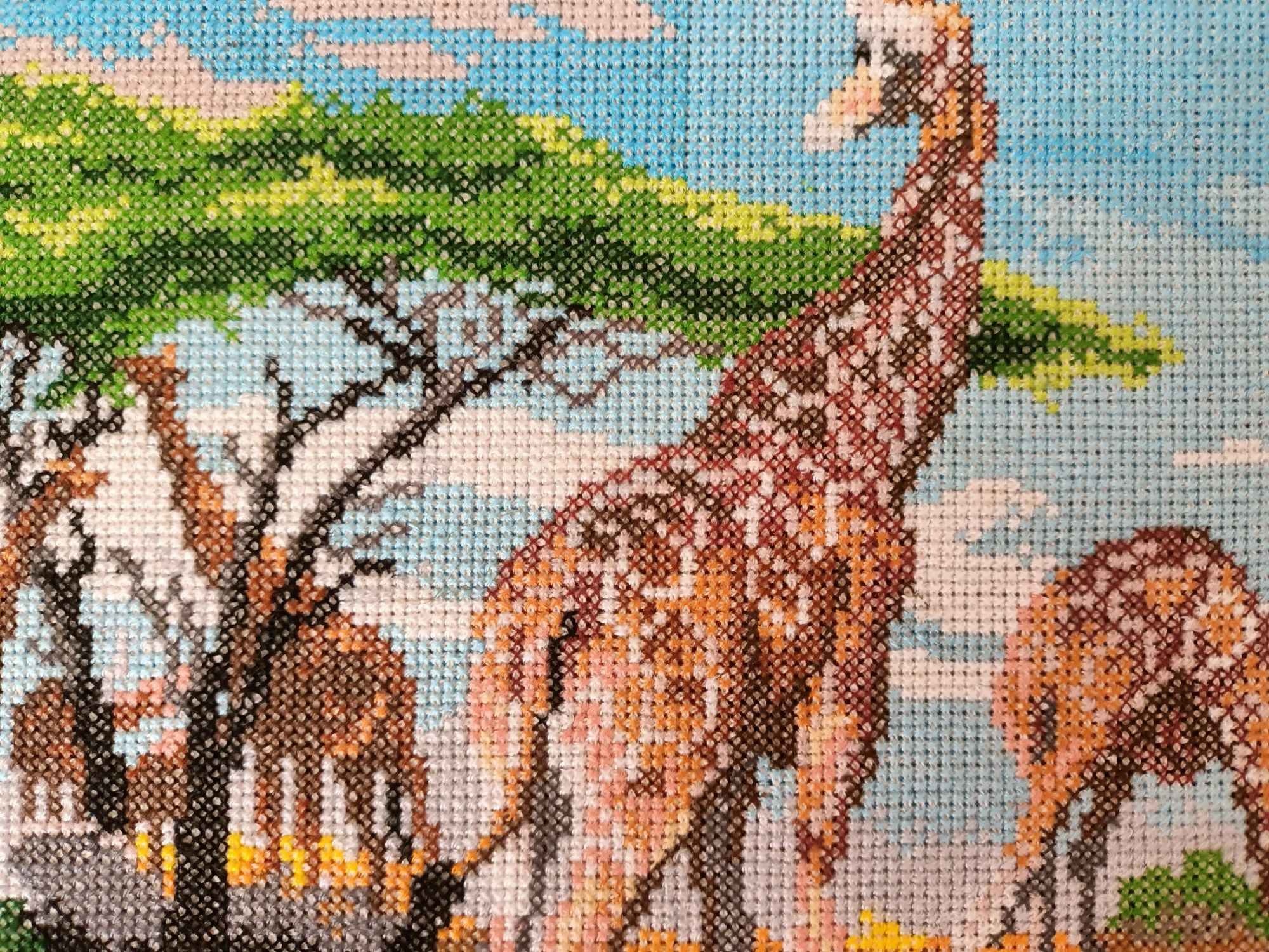 Obraz haftowany krzyżykowy żyrafa