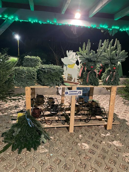 Wianki renifery misie z jodła nobilis Leśniewo