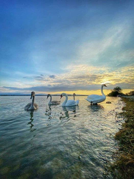 Domki letniskowe/pokoje do wynajęcia