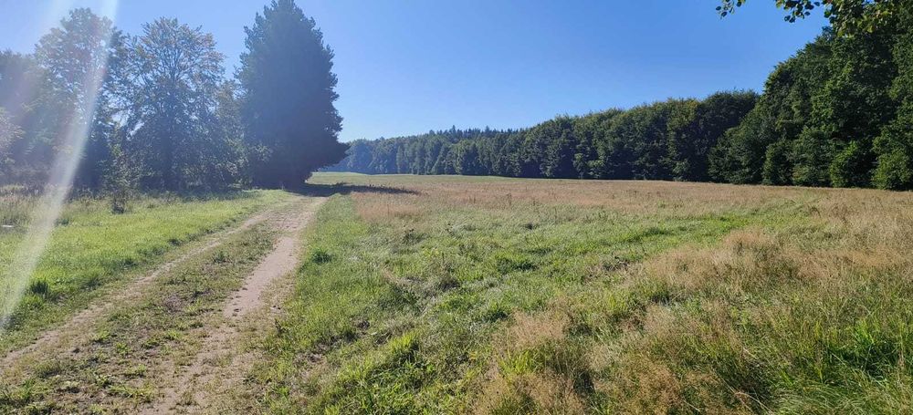 Działki budowlane Świeszyno – cisza, spokój, dojazd