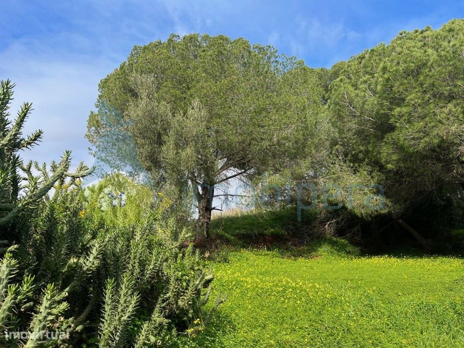 Lote Exclusivo Para Moradia De Sonho Com Piscina Na Quinta Dos Barr...