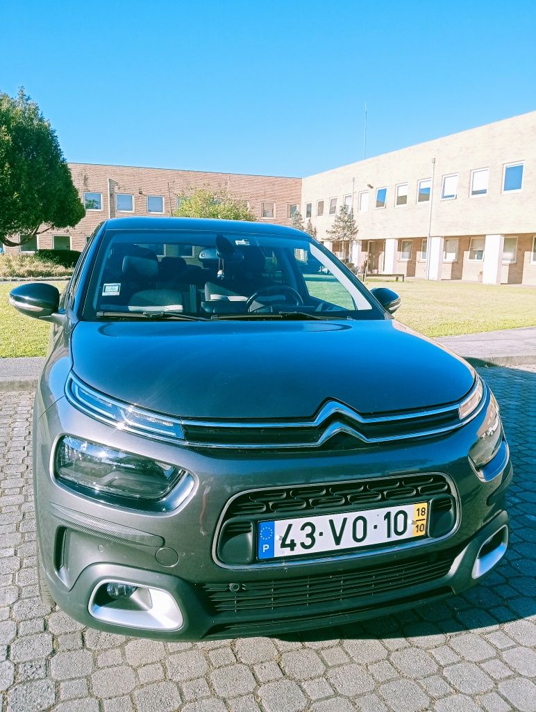 C4 Cactus PureTech Topo Gama