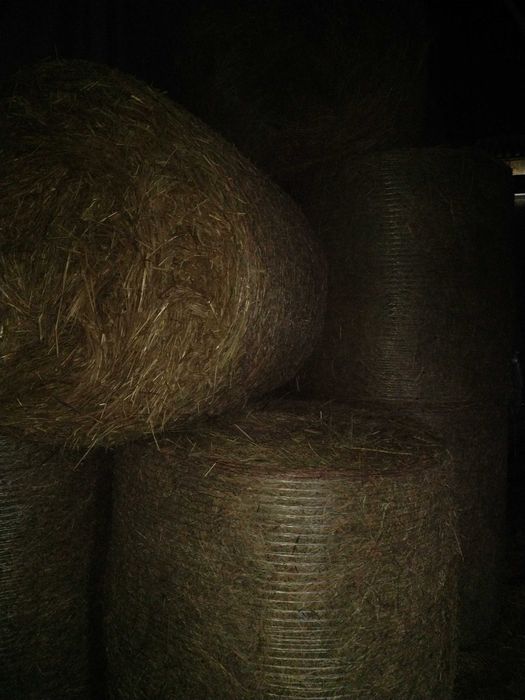 Sprzedam siano bele 120