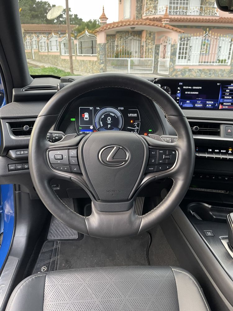 Lexus ux300e luxury