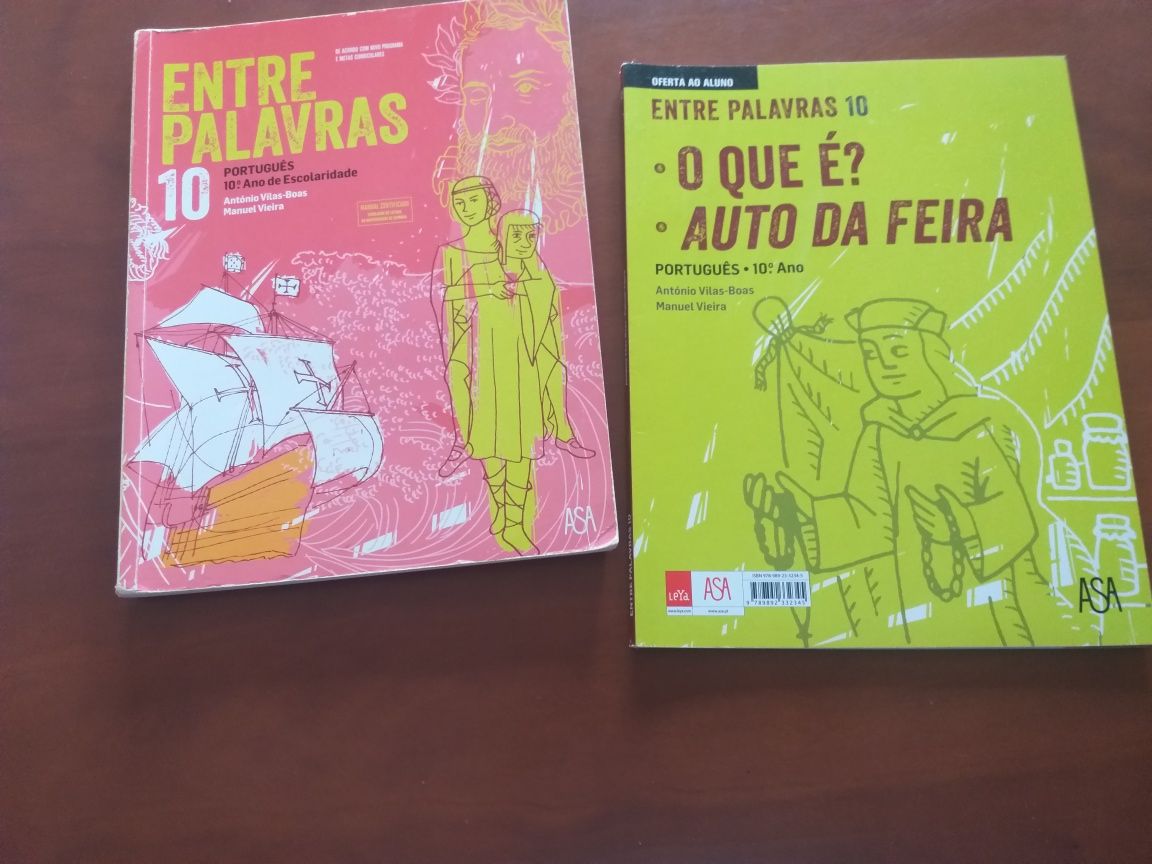 Manuais e cadernos de atividades do 10 ano.