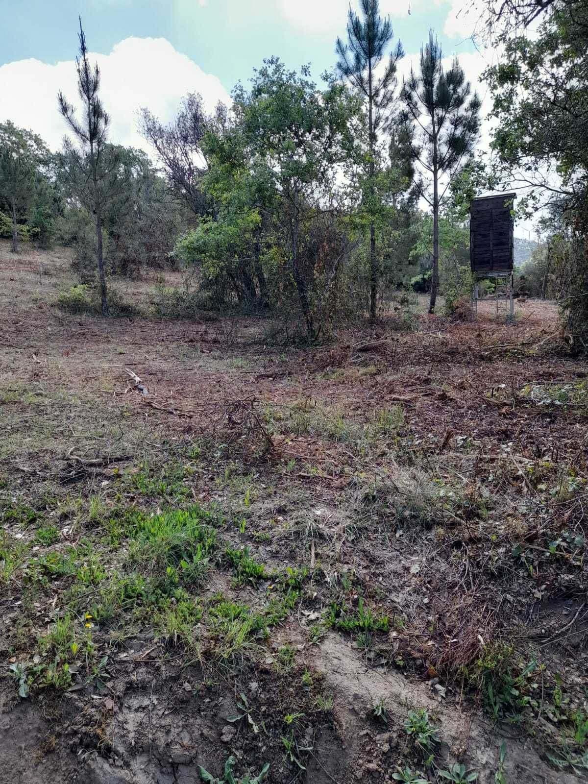 Terreno rústico com boa exposição solar